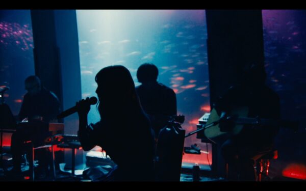 ずっと真夜中でいいのに(ずとまよ)とヨアソビ、ヨルシカは似てる?違いは?実は同じ人?