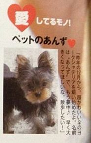 SixTONESのメンバーは一人暮らし?実家暮らし?場所はどこ?