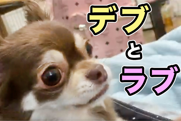 びっくえんじぇるのみっちゃんが炎上?えりぴよ、いのりんも一緒に禊?嫌いという声も