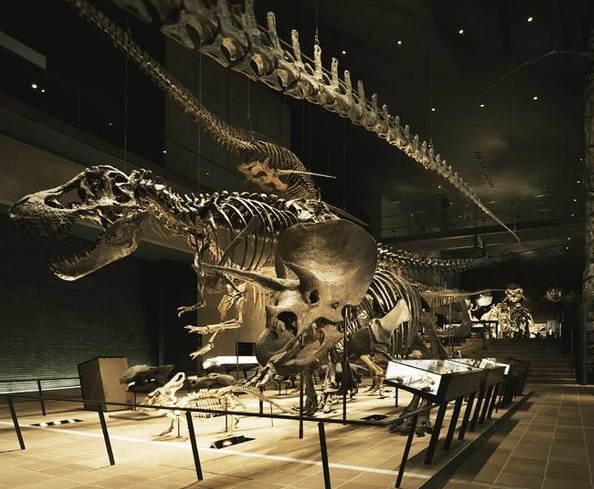 INI池﨑理人(いけざきりひと)はハーフで帰国子女?実家は福岡で姉は美人?