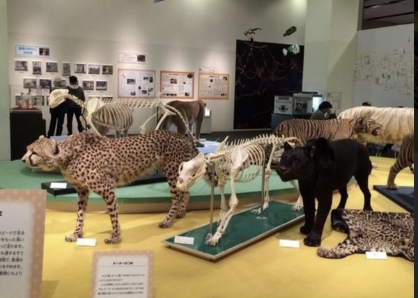 INI池﨑理人(いけざきりひと)は福岡出身!オーディションで違反ダンス?