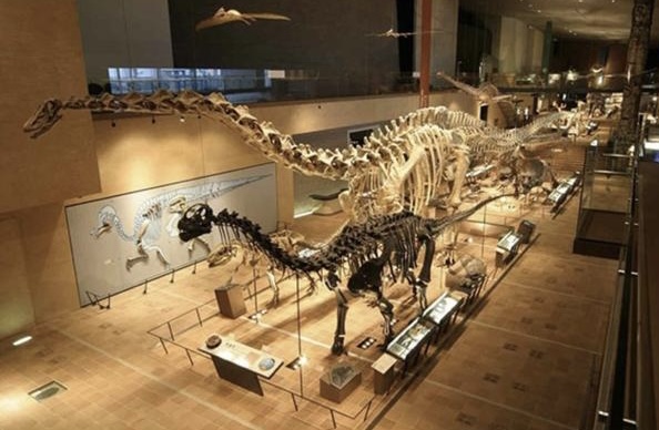 INI池﨑理人(いけざきりひと)は福岡出身!オーディションで違反ダンス?