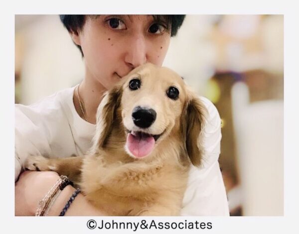 スノーマン(snowman)佐久間大介にペットがいるの?名前は?