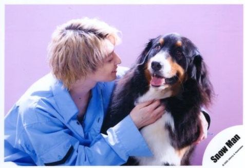 スノーマン(snowman)佐久間大介にペットがいるの?名前は?