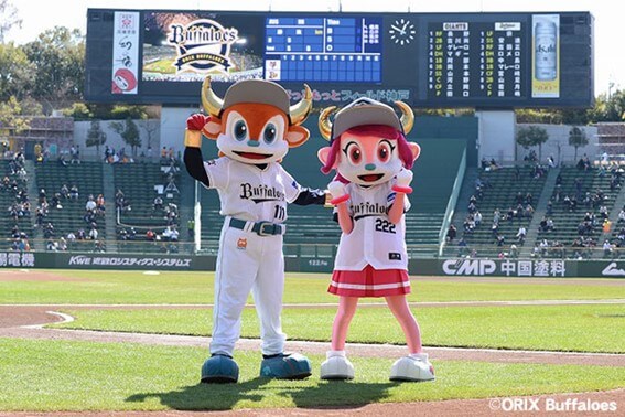 なにわ男子 藤原丈一郎はなぜオリックスファン？いつから？好きな選手は？