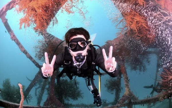 SixTONES(ストーンズ)森本慎太郎の地元は藤沢？サーフィンが趣味でダイビングライセンスを持ってるって本当？