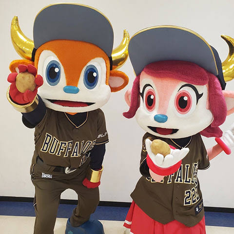 なにわ男子藤原丈一郎は大のオリックスファンで年間シート持ち?甲子園で野球観戦中に映り込みって本当?