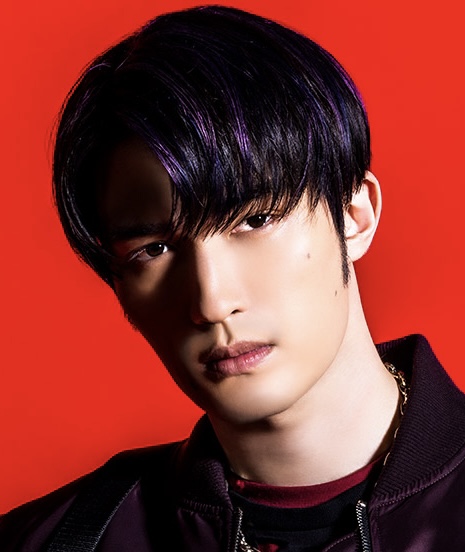 SixTONES(ストーンズ)田中樹が付けているネックレスはどこのブランド？ペットの遺骨を入れられるもの？