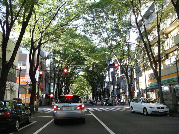 星野源は阿佐ヶ谷で一人暮らしをしていたのか?ケーキがおいしい喫茶店はどこ?