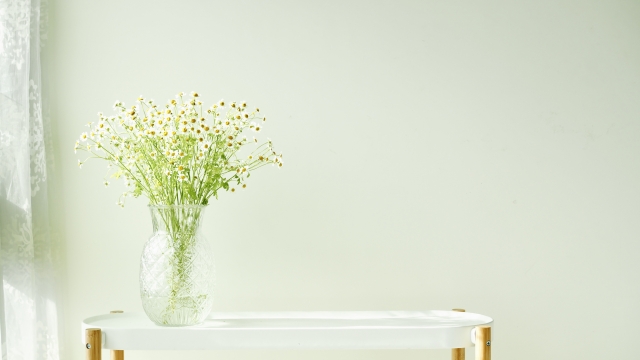 なとりの大人気曲「Overdose」歌詞に込められた意味とは？深堀りしてみた！